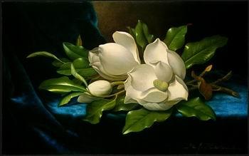 unknow artist Still life floral, all kinds of reality flowers oil painting  65 oil painting picture